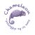 Chameleon Arran 3