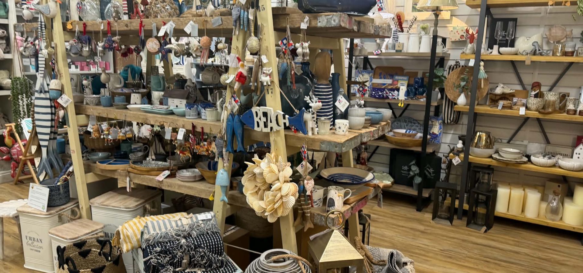 Driftwood / Mooch