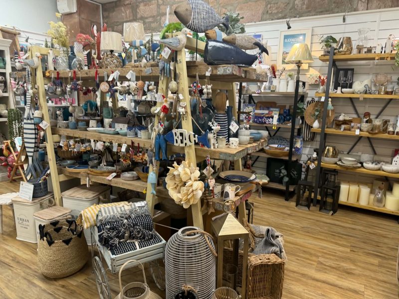 Driftwood / Mooch